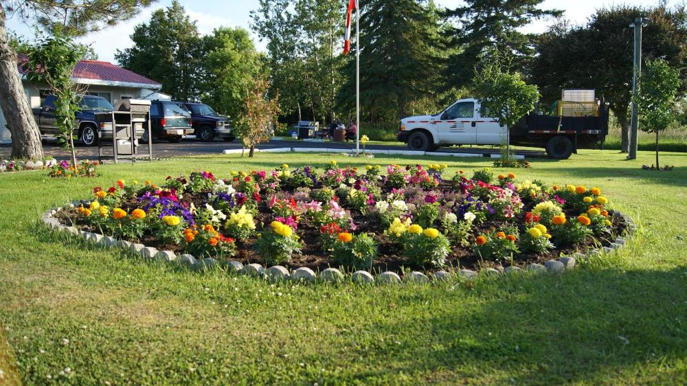 Blue Jay Motel - ReservationDesk.com